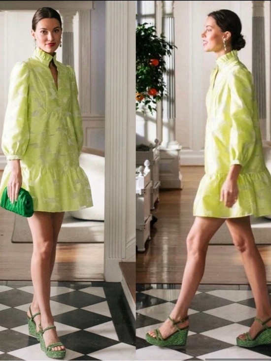 Tuckernuck Dresses & Skirts - Tuckernuck Citron Fil Coupe Palmerston mini dress small
